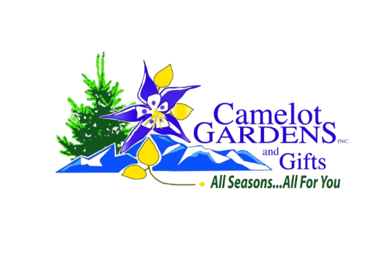 Chamber New Site – camelot