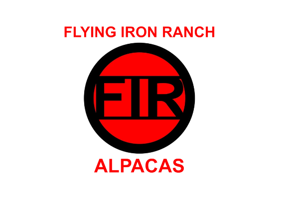Chamber New Site – flying iron ranch (1)