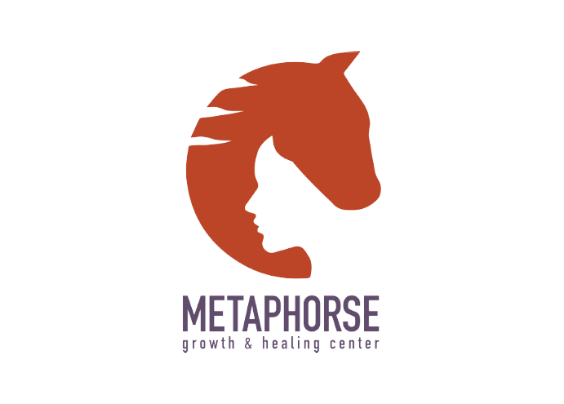 Chamber New Site – metaphorse