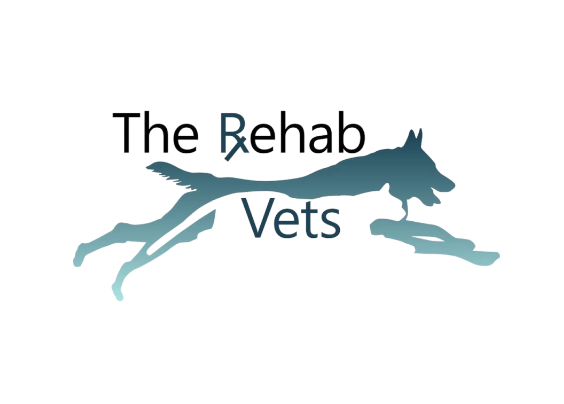 Chamber New Site – rehab vets